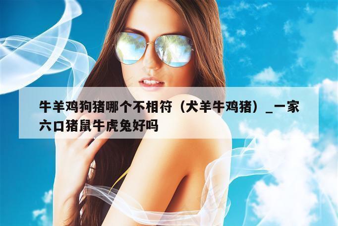 牛羊鸡狗猪哪个不相符(犬羊牛鸡猪)_一家六口猪鼠牛虎兔好吗